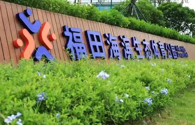 如何利用杯赛提升团队协作能力_2